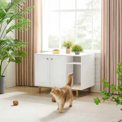 cat litter hidden furniture